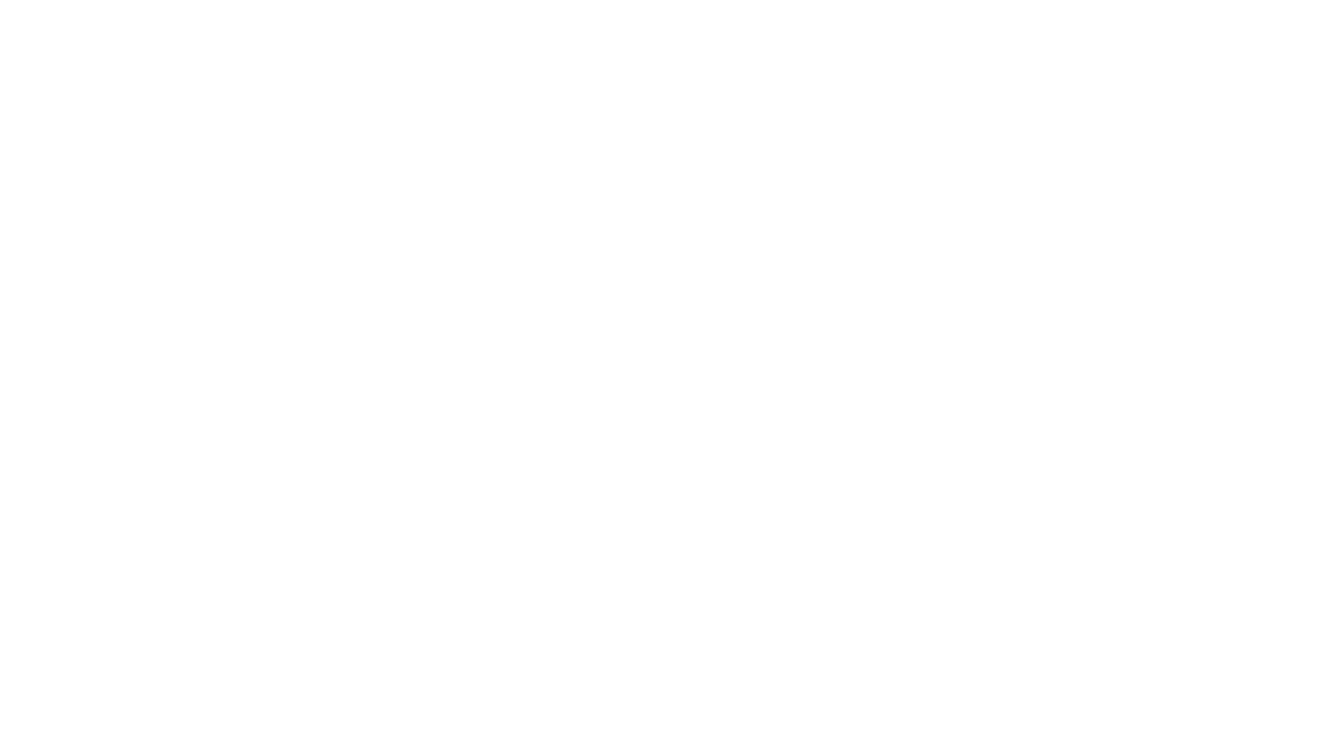 Trimo logo